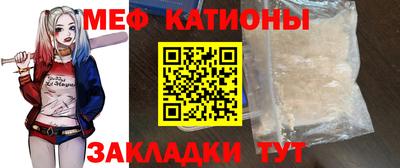 прущие грибы Гатчина