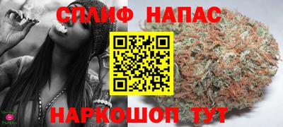 прущие грибы Гагарин