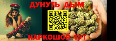 прущие грибы Гатчина