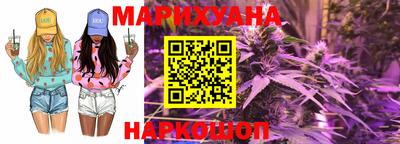 шишки Гай