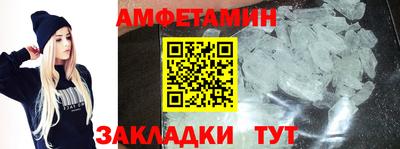 прущие грибы Гатчина