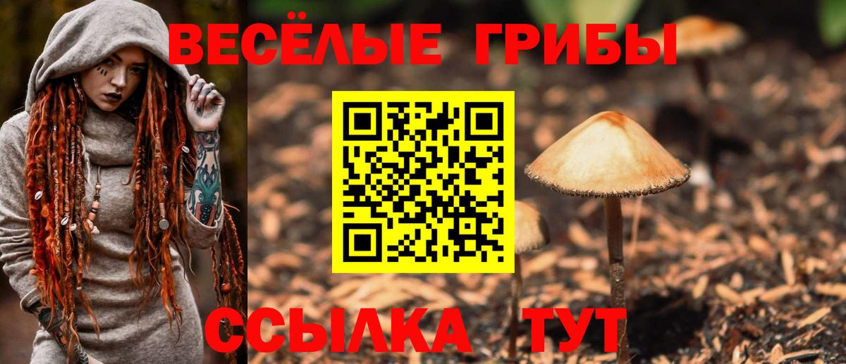 Галлюциногенные грибы GOLDEN TEACHER  Псилоцибиновые грибы прущие грибы  Лобня  Вход с VPN 